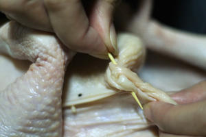 糯米鸡汤—Staub珐琅铸铁锅的做法 步骤12