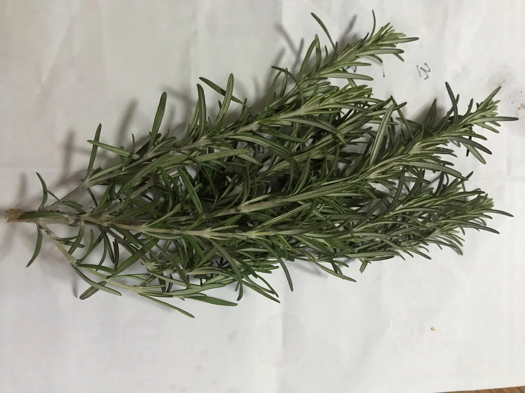 迷迭香酪乳炸鸡-史上最棒炸鸡