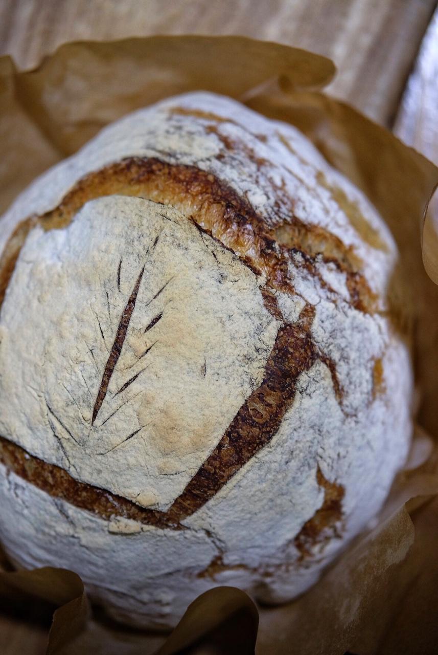 【Tartine Bread】天然酵种基础乡村欧包