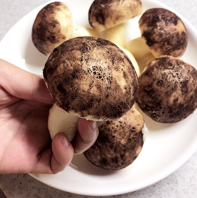 蘑菇包