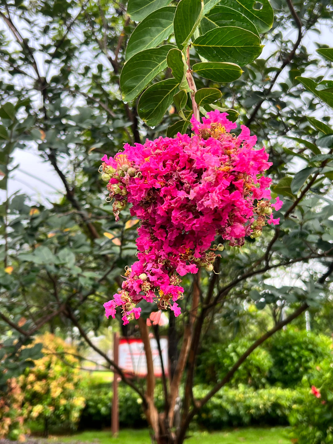 下厨房用户_ydw9