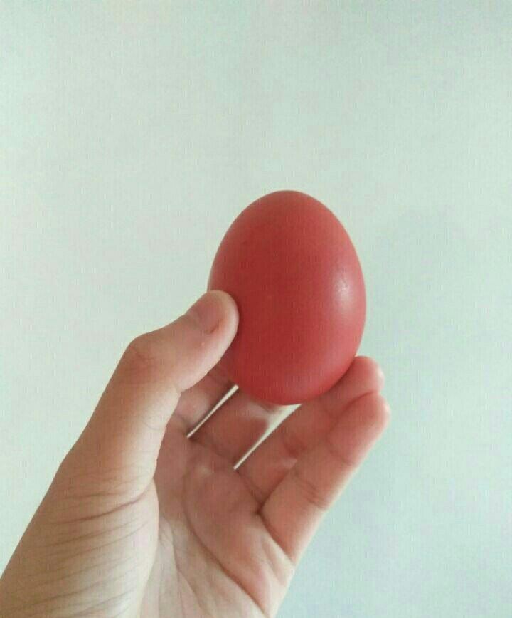 顾小琪子qi做的立夏红鸡蛋