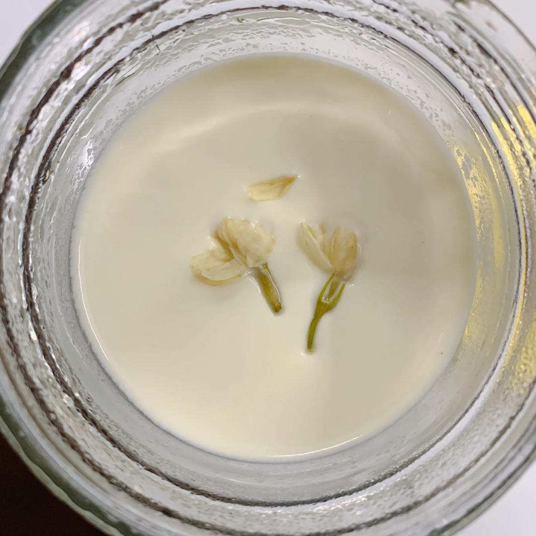 吃豆腐啦！——小嶋老师茉莉奶冻