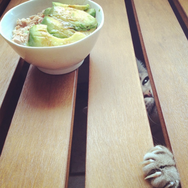 温暖的一人食o(*≧▽≦)ツ