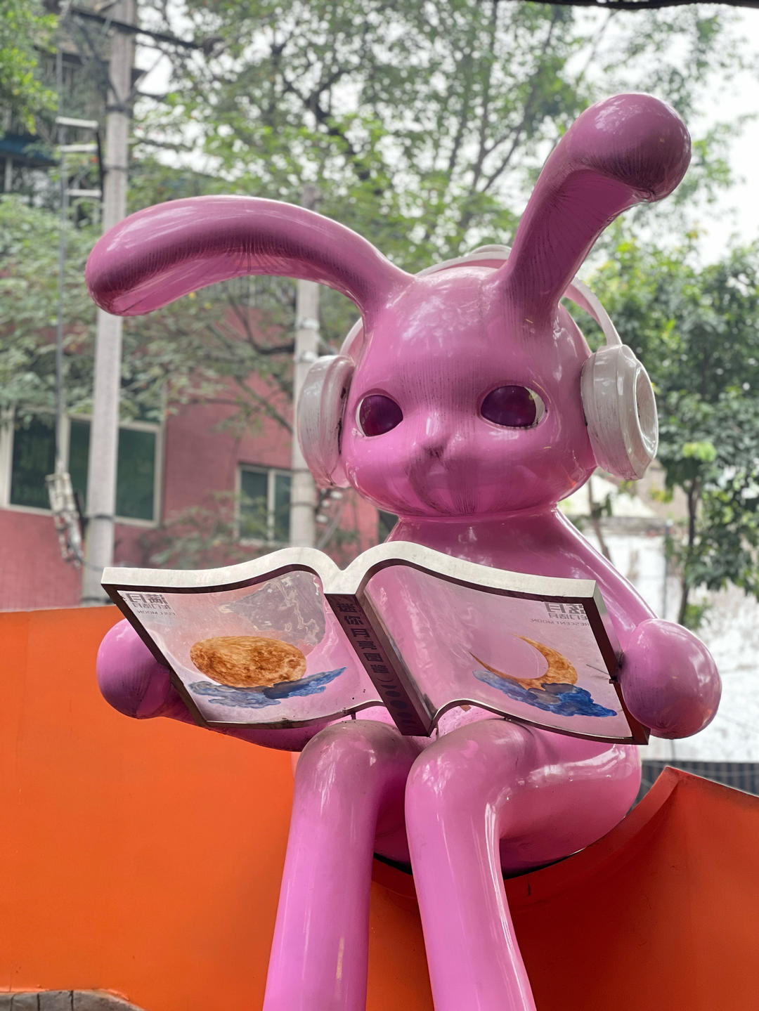 a手机用户888_iy61