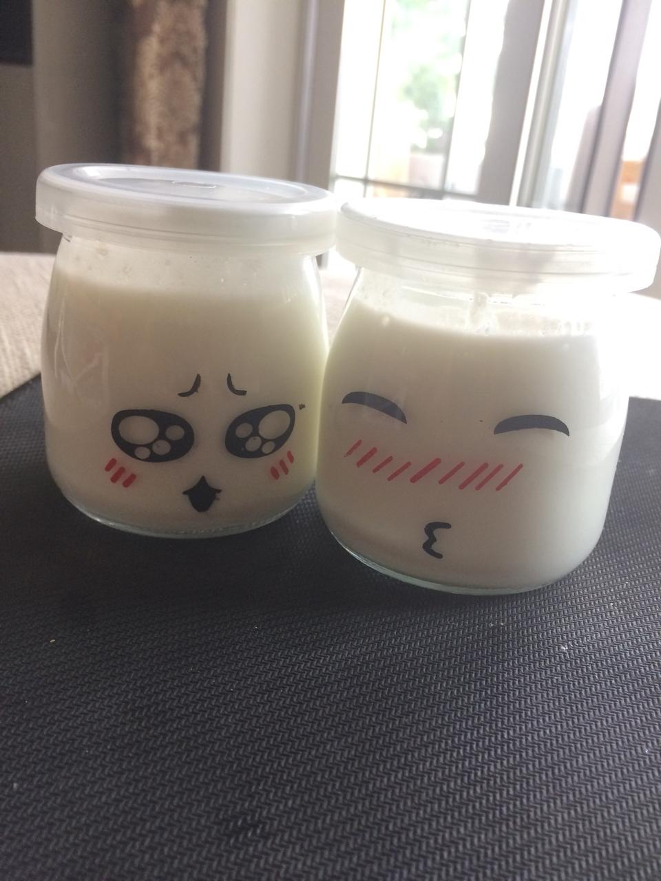 自制酸奶（柏翠面包机版）