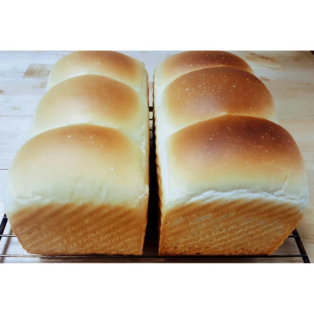 玉米油版一次性发酵吐司