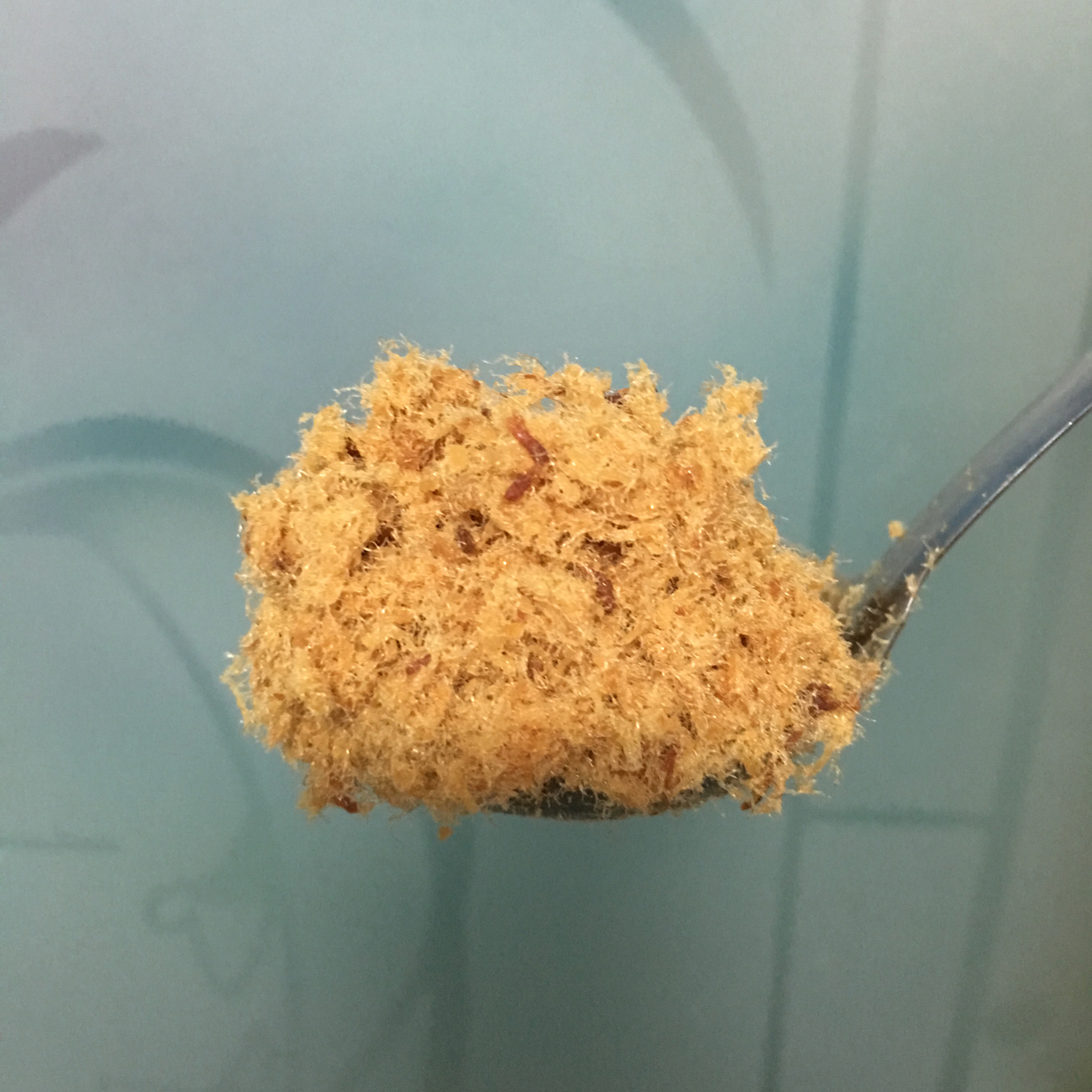 自制肉松(面包机版)