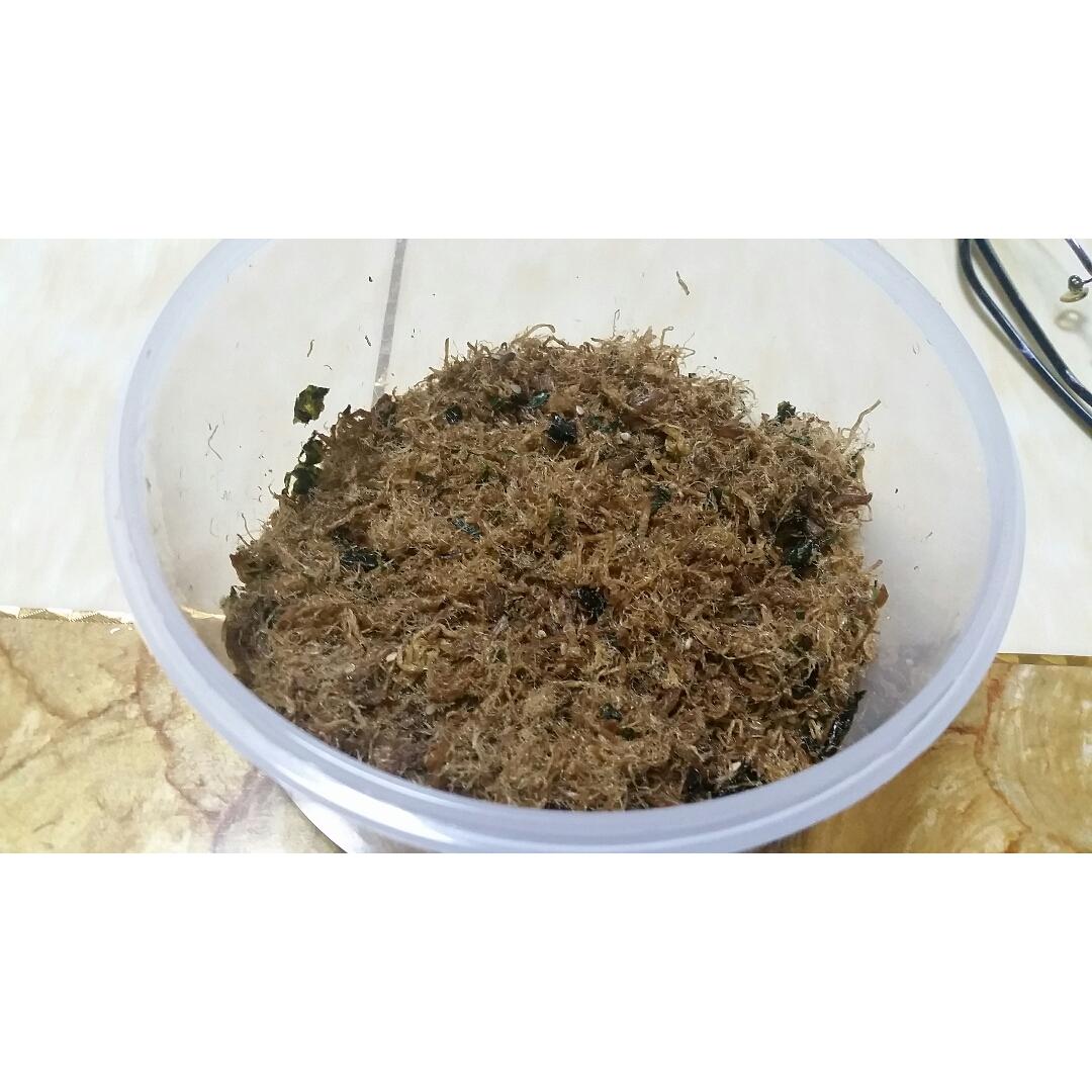 自制肉松宝宝辅食肉松―厨师机版