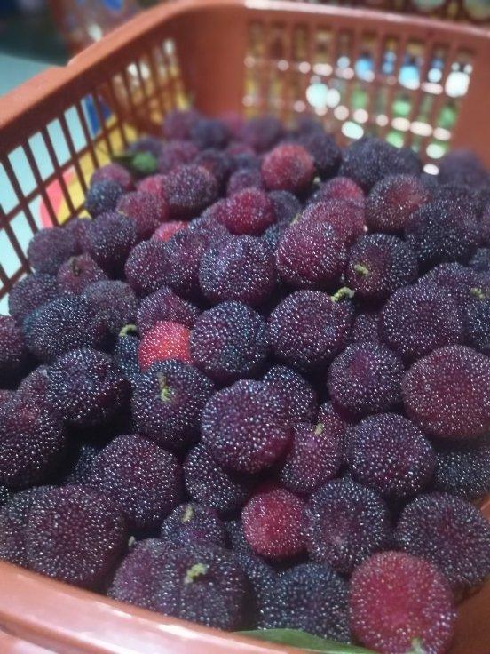 冰糖杨梅干【曼食慢语】