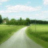 言淇