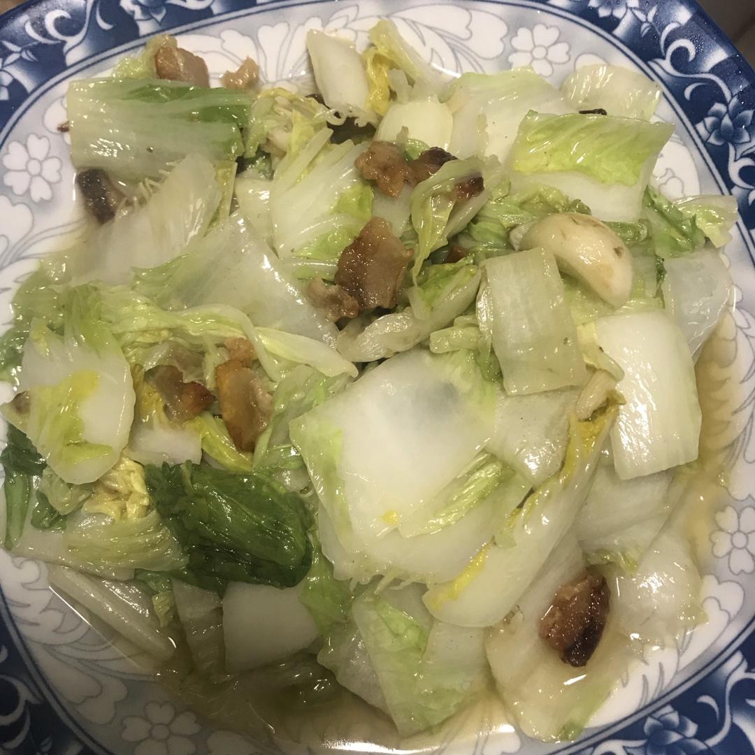 下饭菜-炒奶白菜