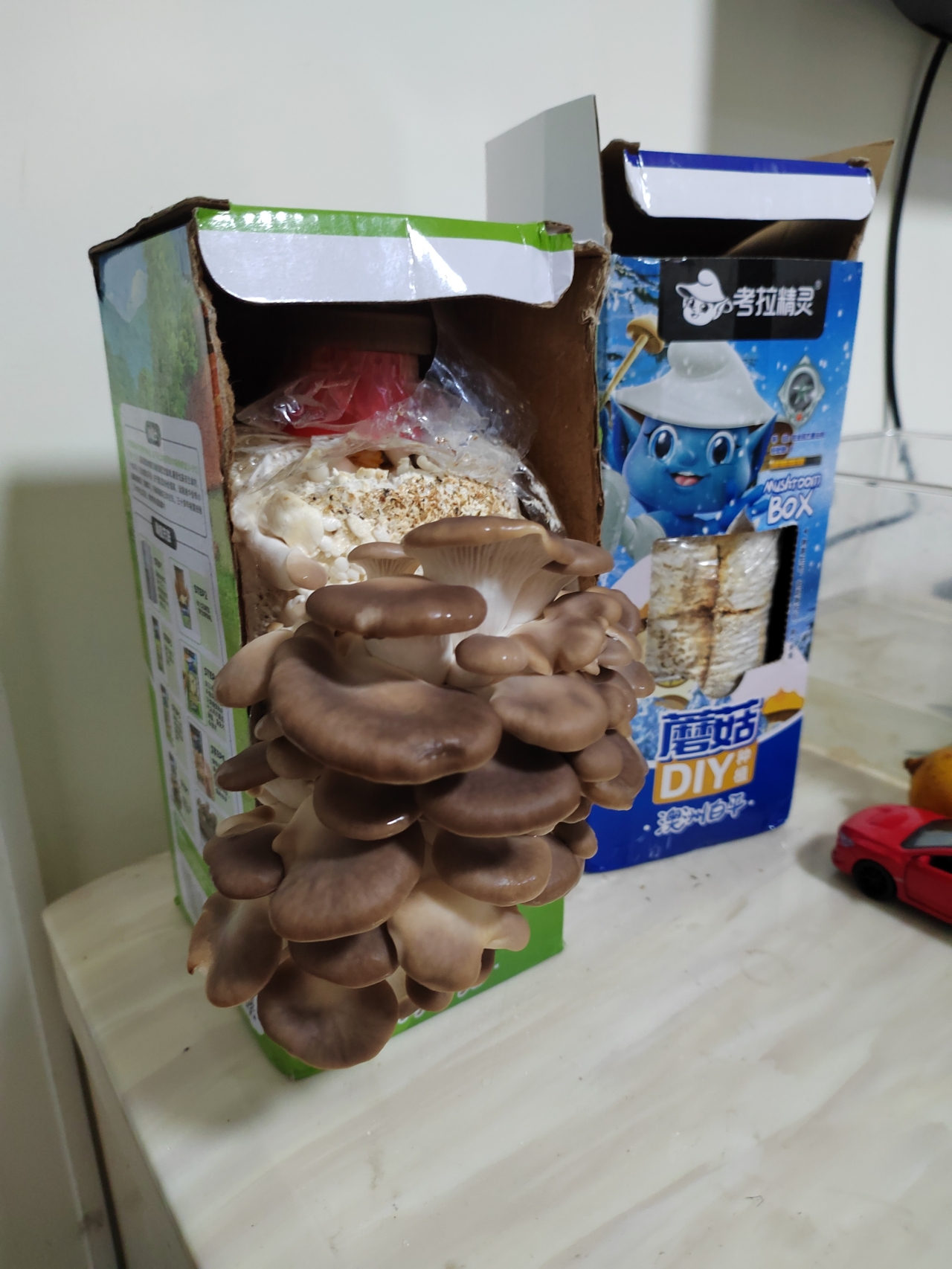 软炸蘑菇（平菇）