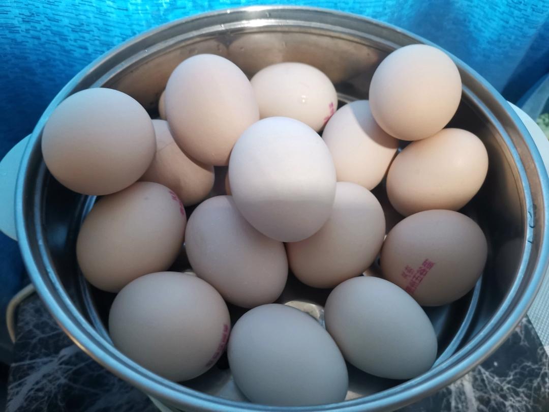 煮鸡蛋（最简单）