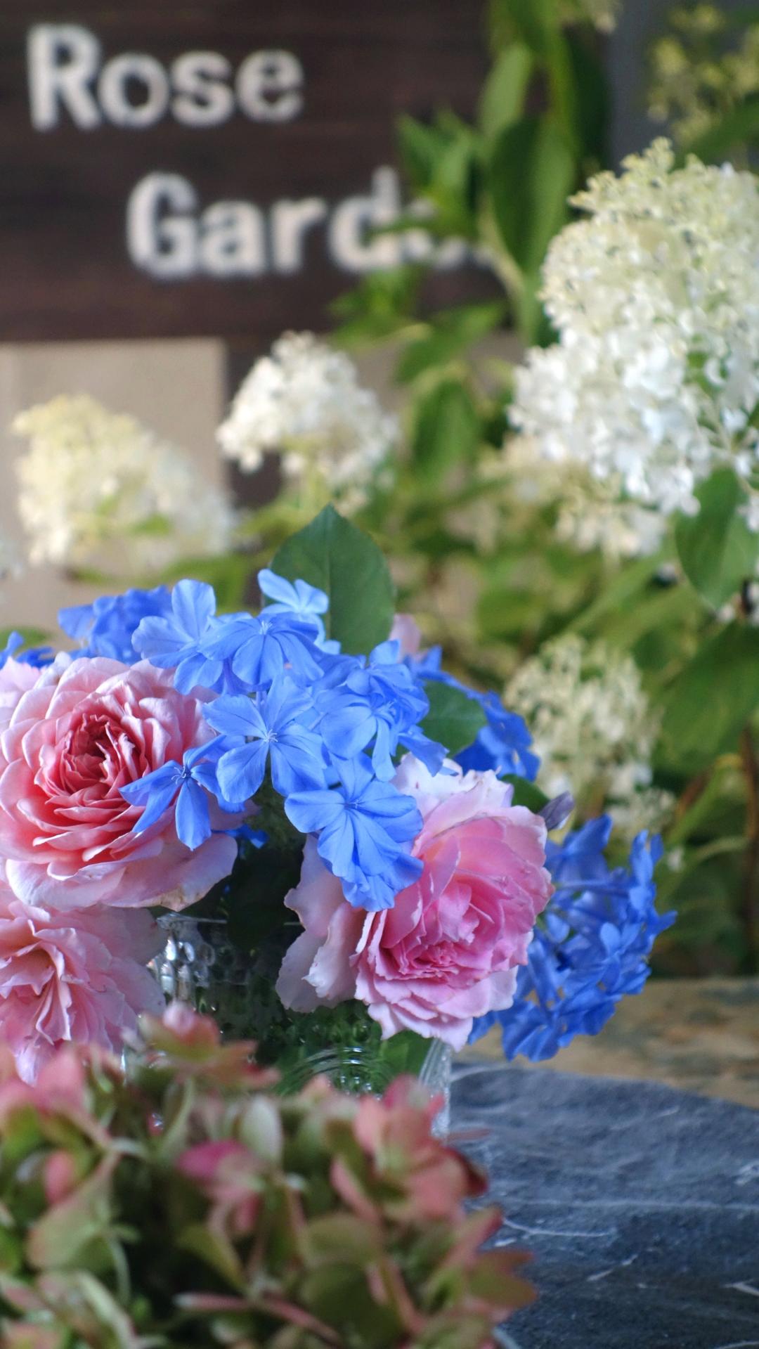 造园记:从陆家嘴后花园到山居小花园