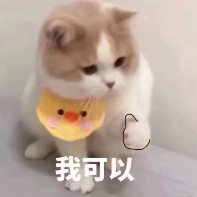 老豆豆咯