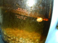 杏仁熟豆豆浆的做法 步骤6