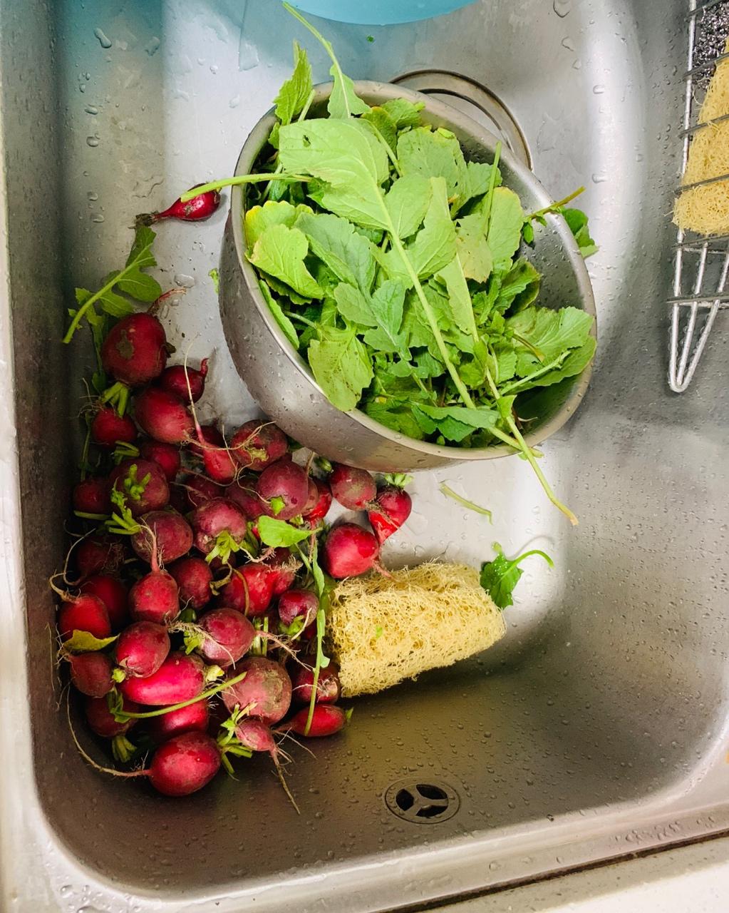 凉拌爽口水萝卜