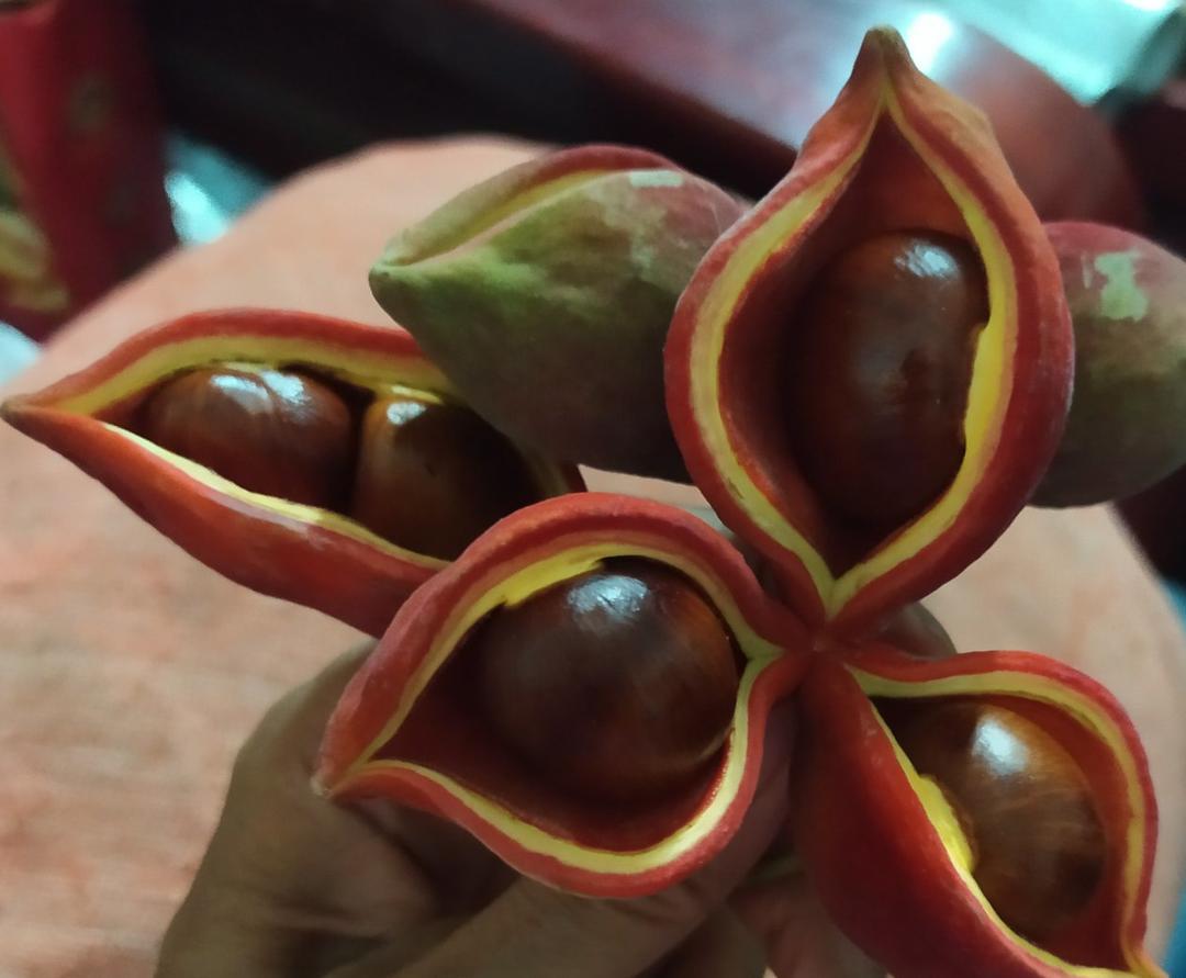 超级加头月饼