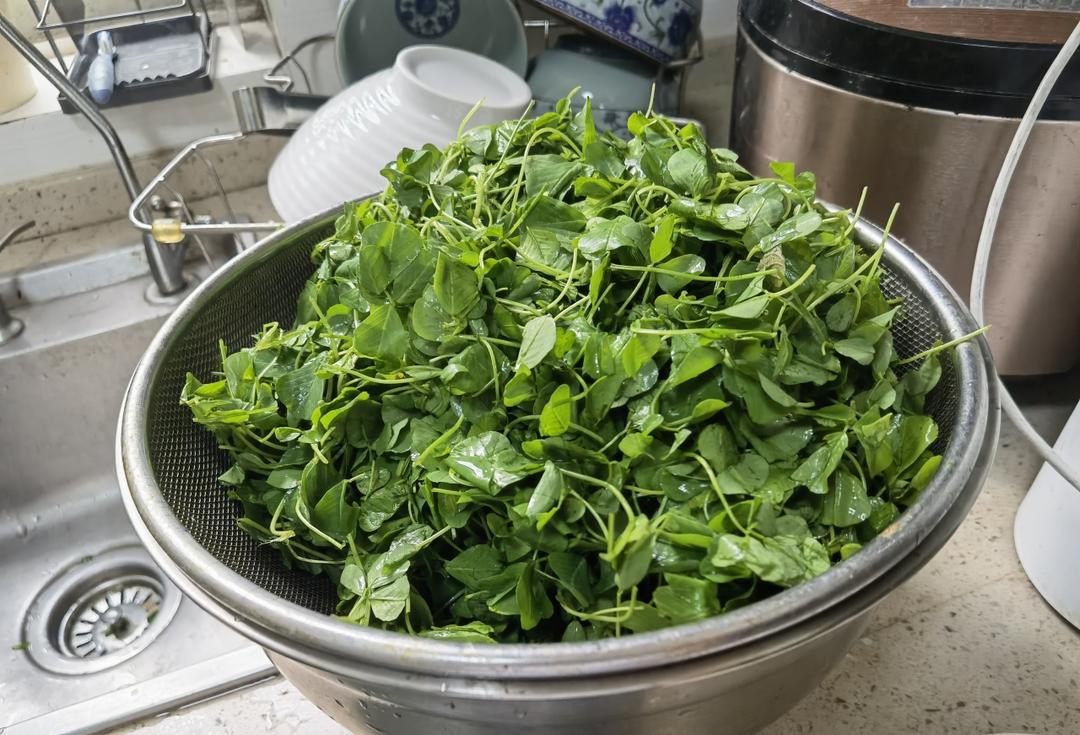 酒香草头（灵魂的味道）