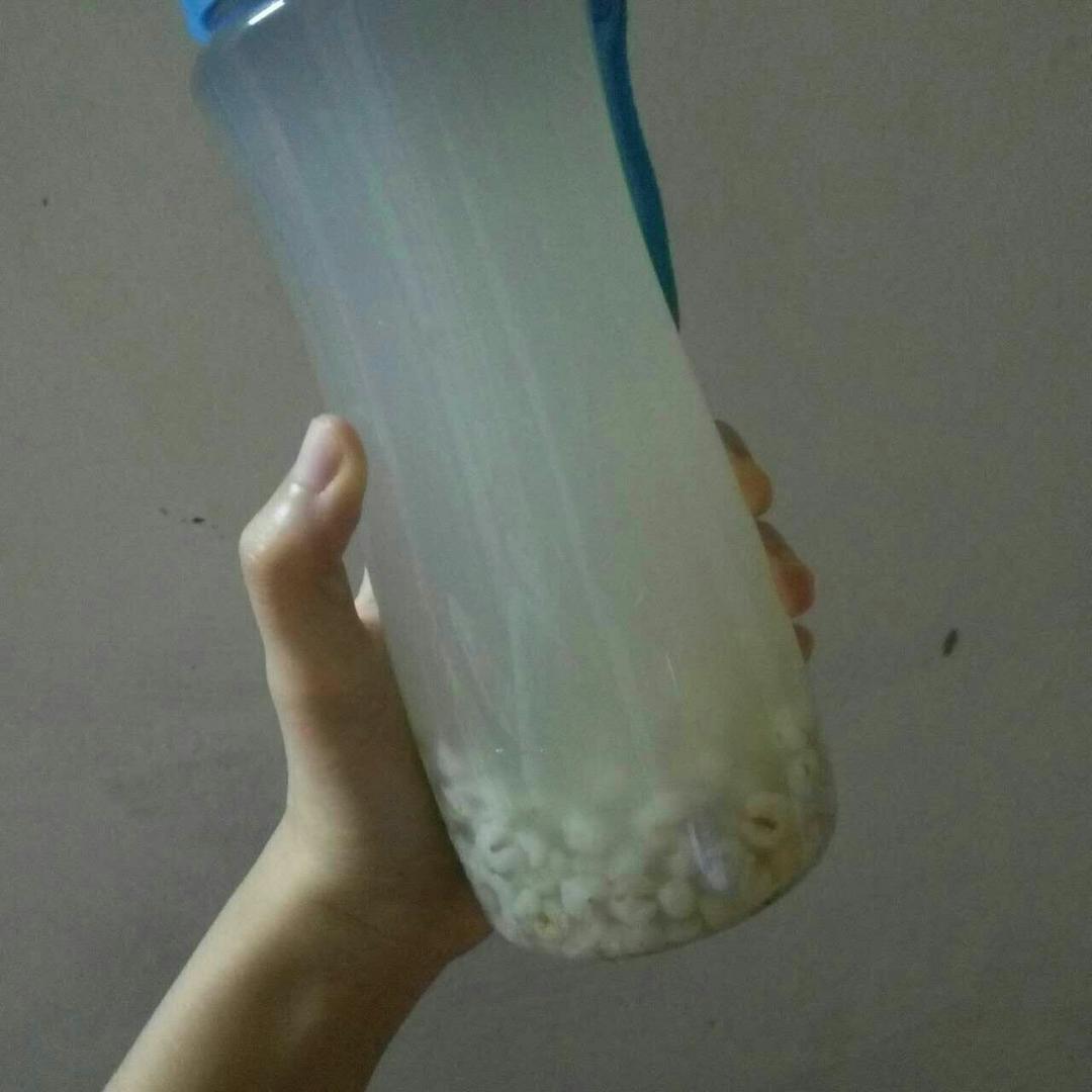 冰镇薏米水
