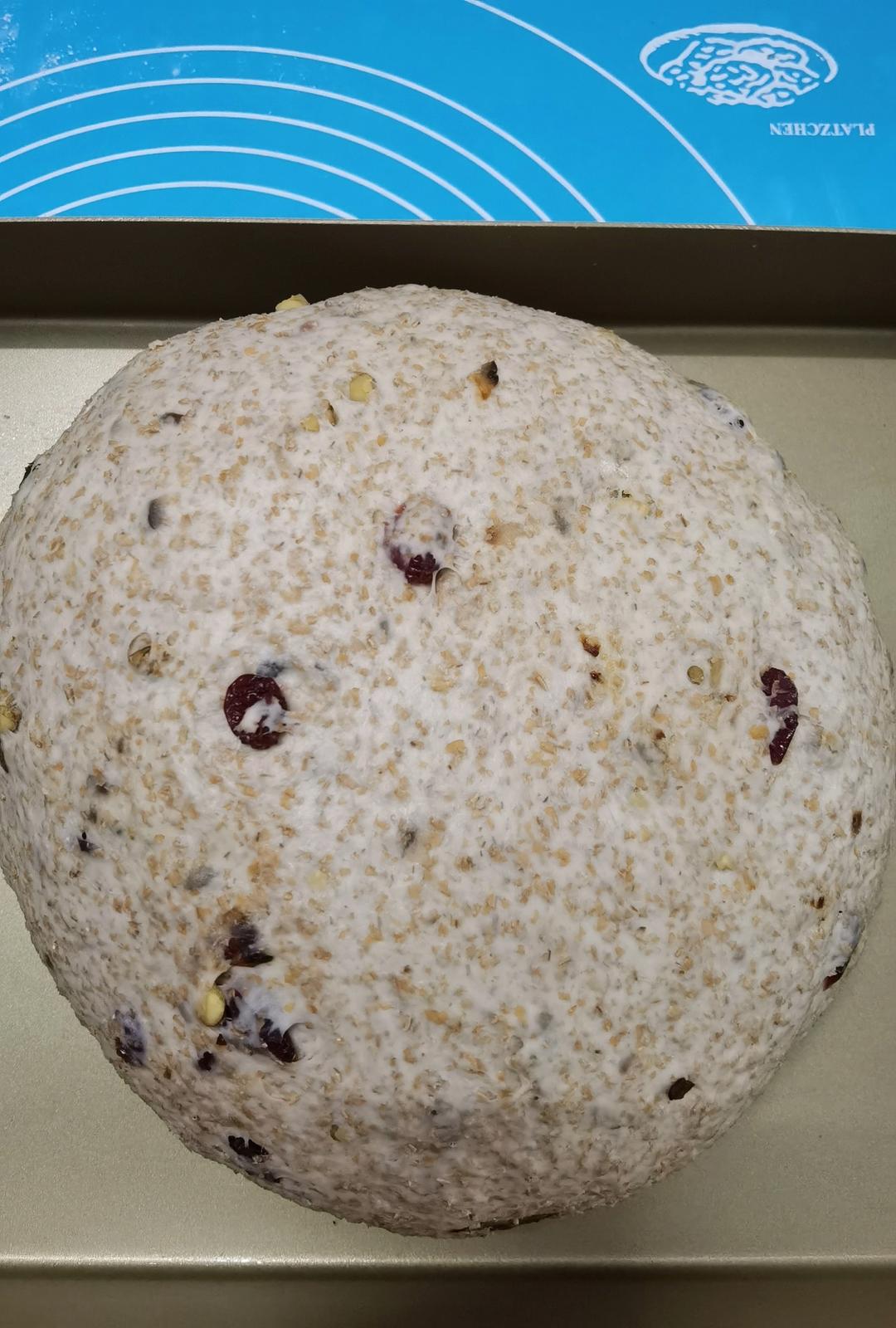 德国婆婆秘方·只多一料·香得上天的全麦核桃蔓越欧包