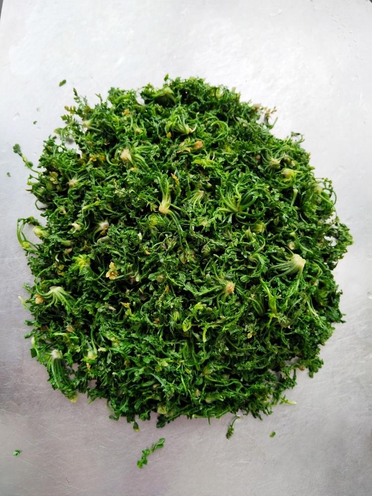 山野菜