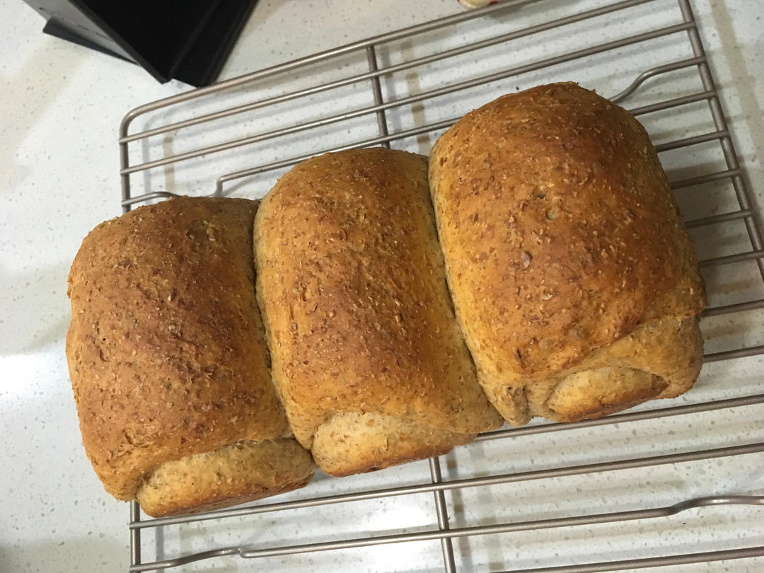 黑麦吐司 70%黑麦 波兰种