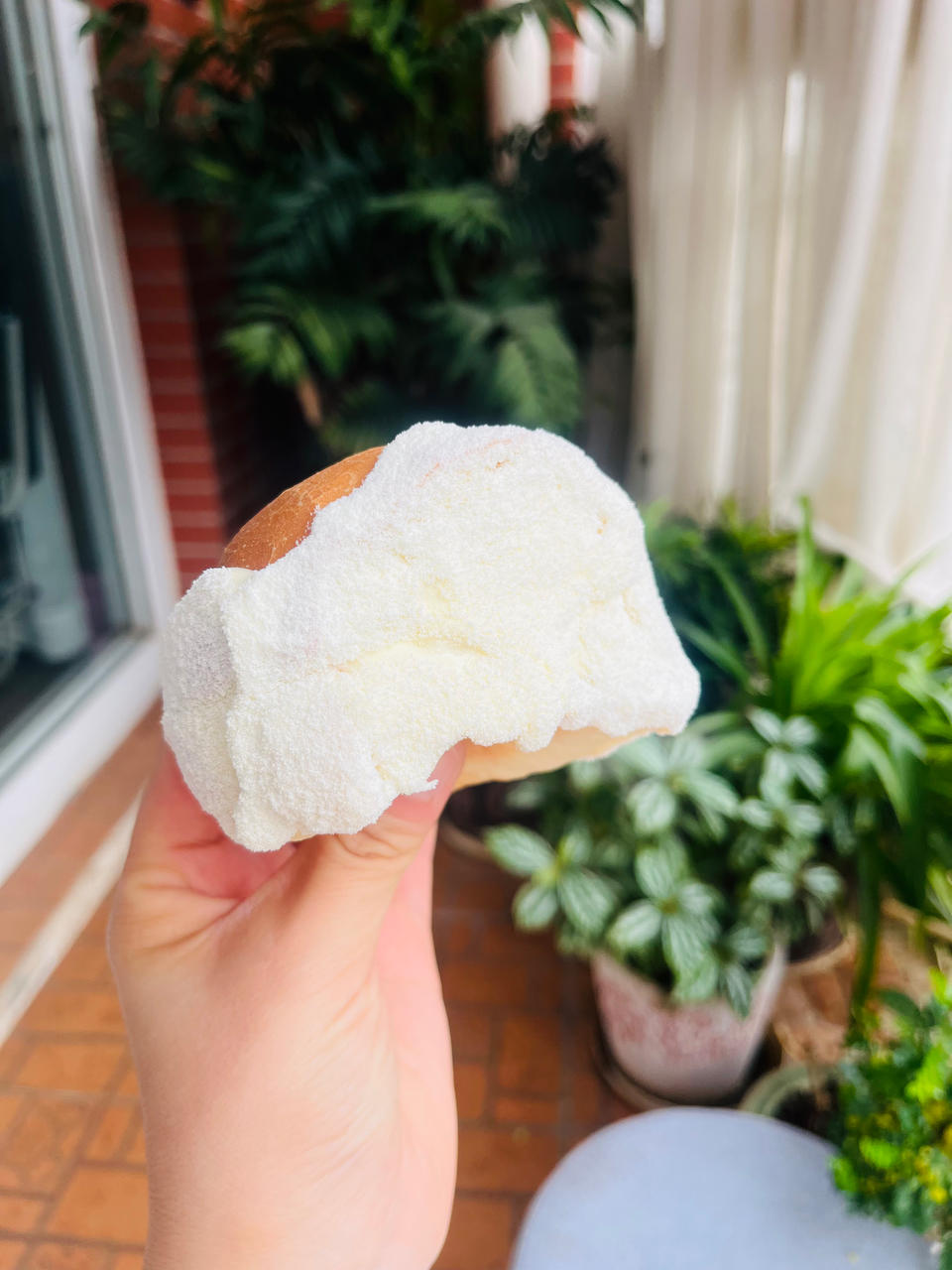 降温友好，烫种基础面团---三种口味奶酪包，香芋、奶盐和奥利奥