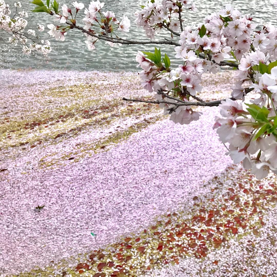 潘小鑫滴麻麻