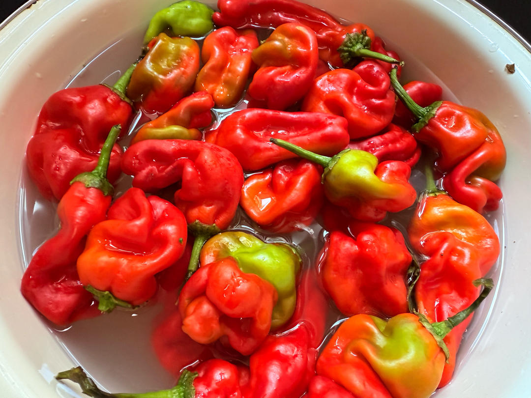 💯香辣开胃的自制剁辣椒‼️放一年不会坏