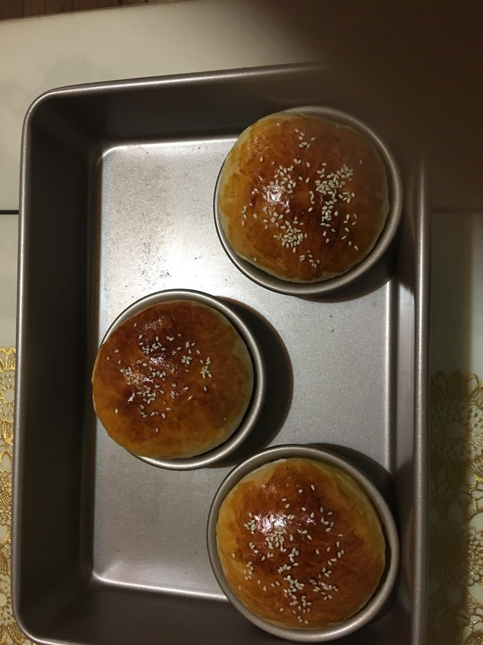 汉堡胚（中种法）