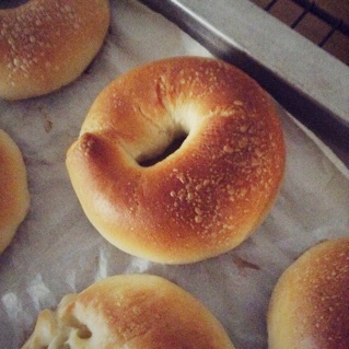 原味贝果