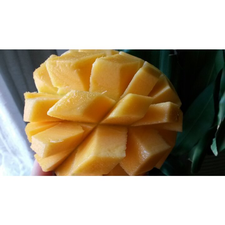 xiaoanan做的巧切芒果花