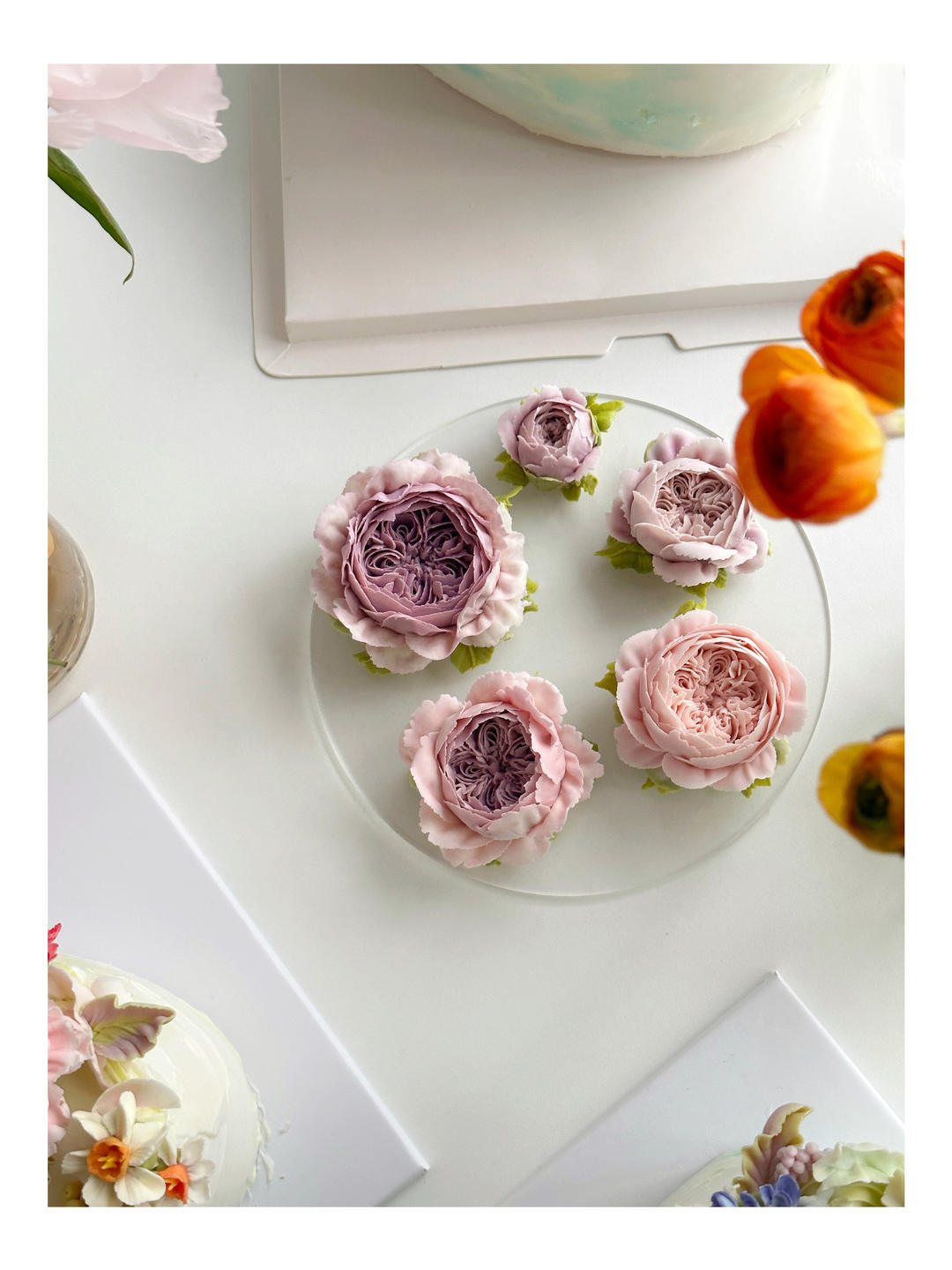 大王的面包&法甜