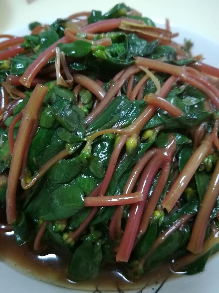 清热解毒的马齿苋的做法