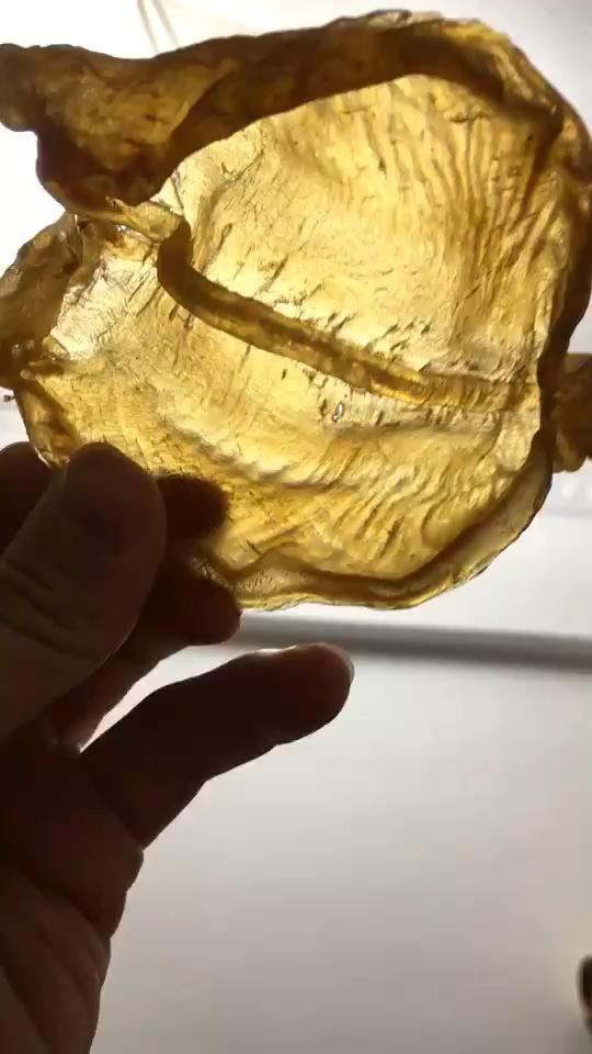 花胶