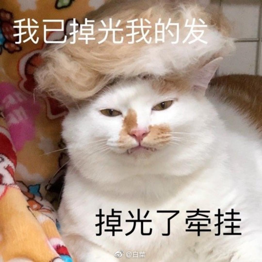 爱吃的酱酱酱酱