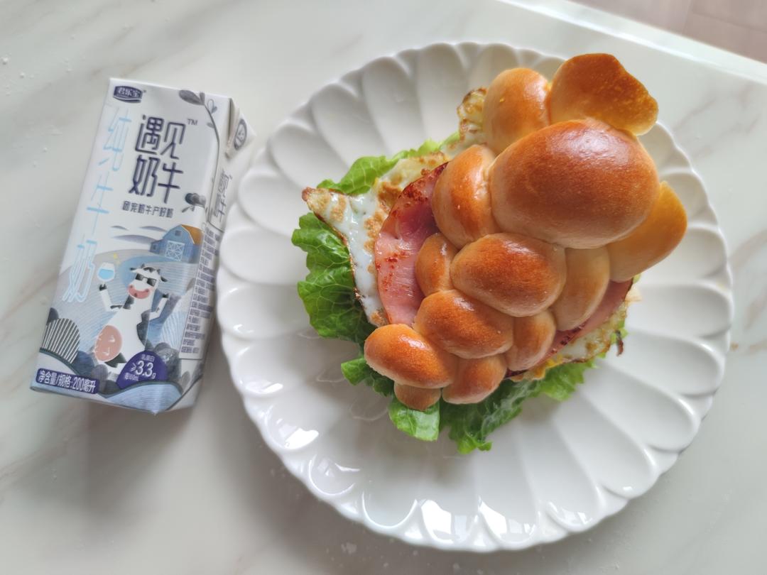纯奶手撕吐司的做法 步骤1