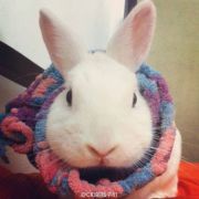 伏尔加河里的yu