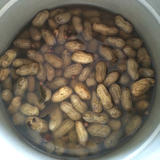 晚餐•2015年6月21日