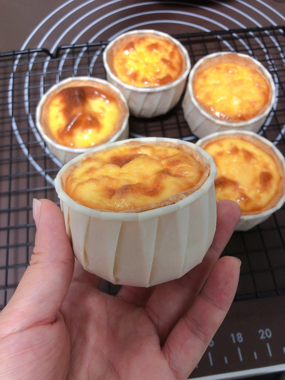 ‼️全网都在做🔥德式布丁塔（北鼎烤箱食谱）