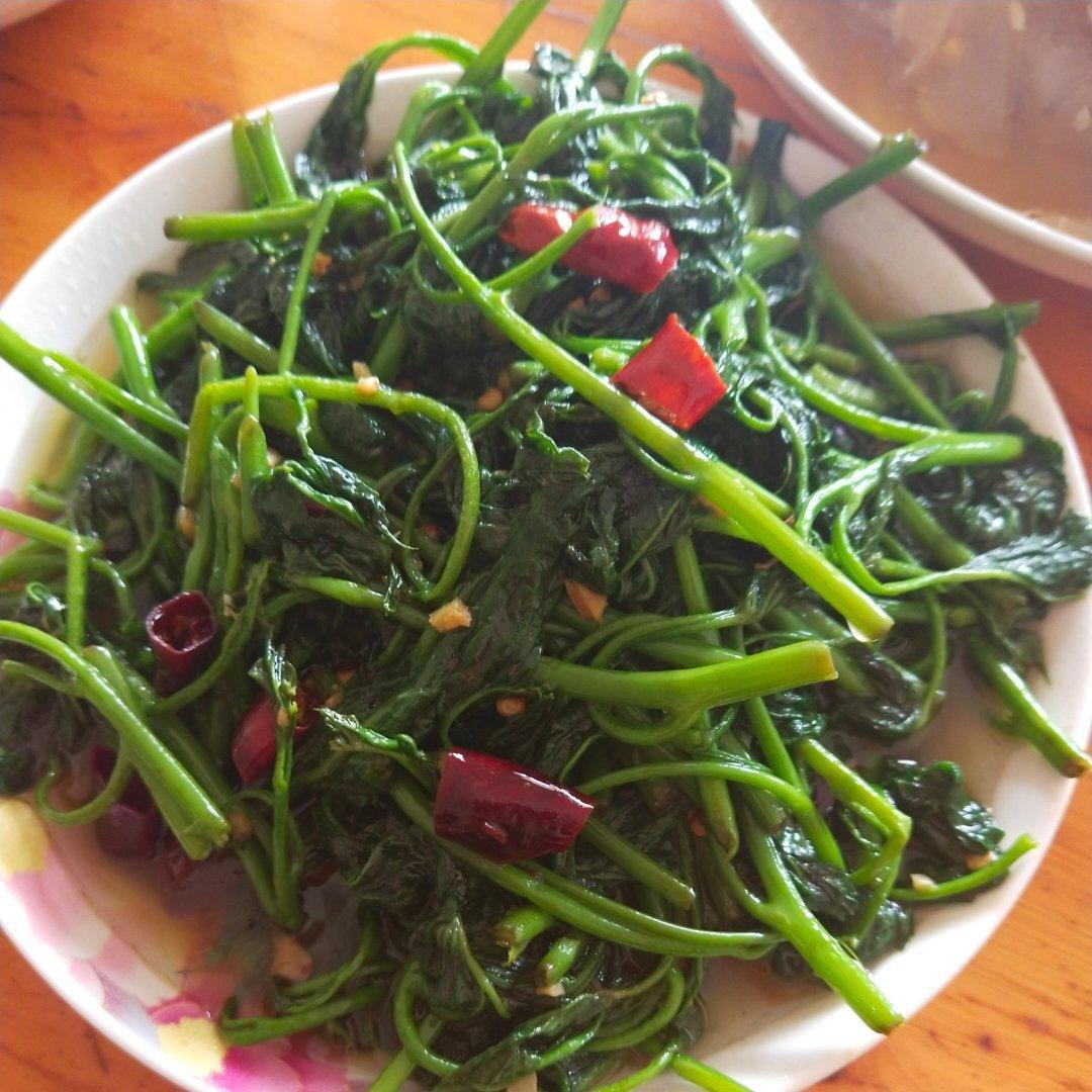 阳光的温暖rb4g做的清炒红薯藤