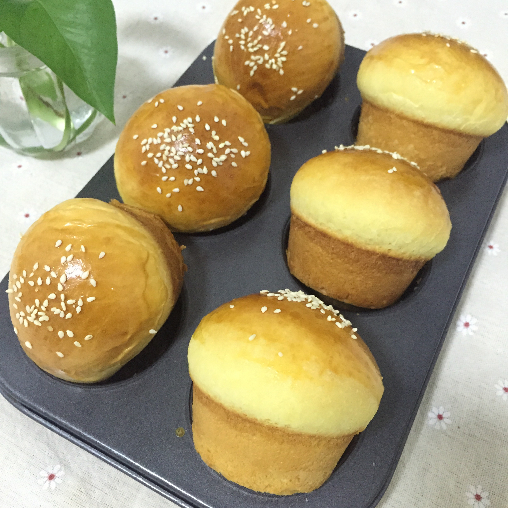 原味蘑菇包（一次性发酵）