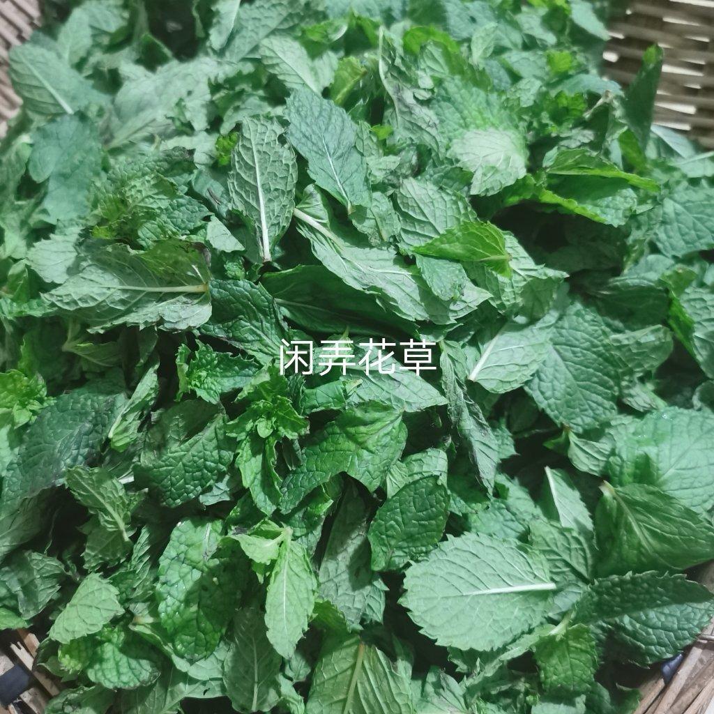 家有萌娃的麻麻都需要这样一瓶薄荷膏