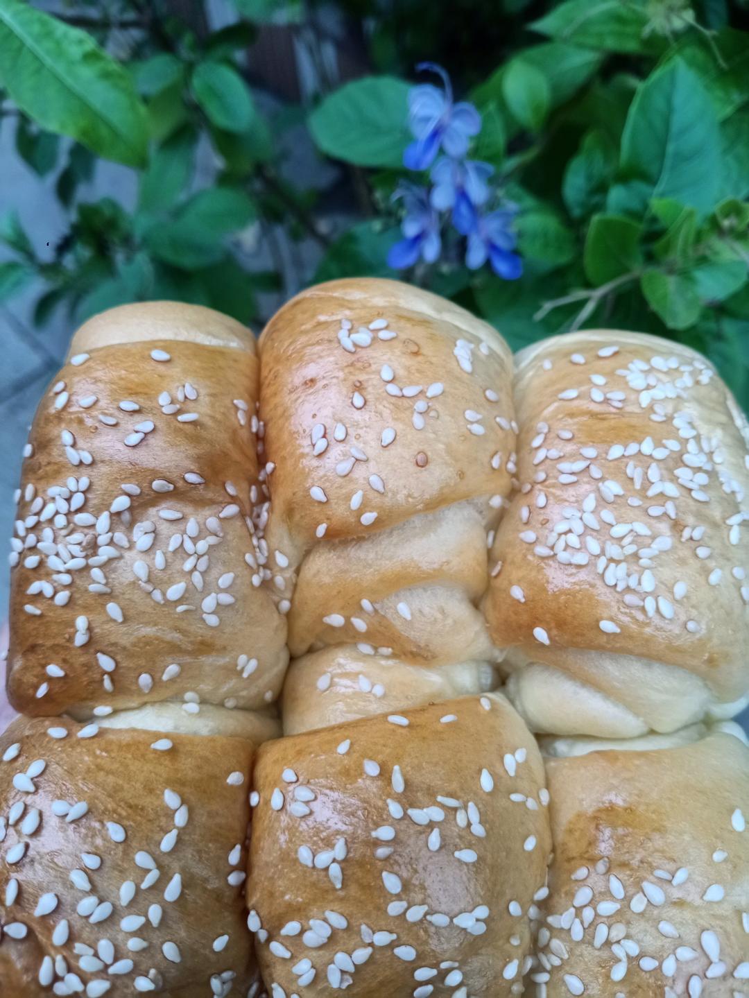 淡奶油小方包                          （快手一次发酵）