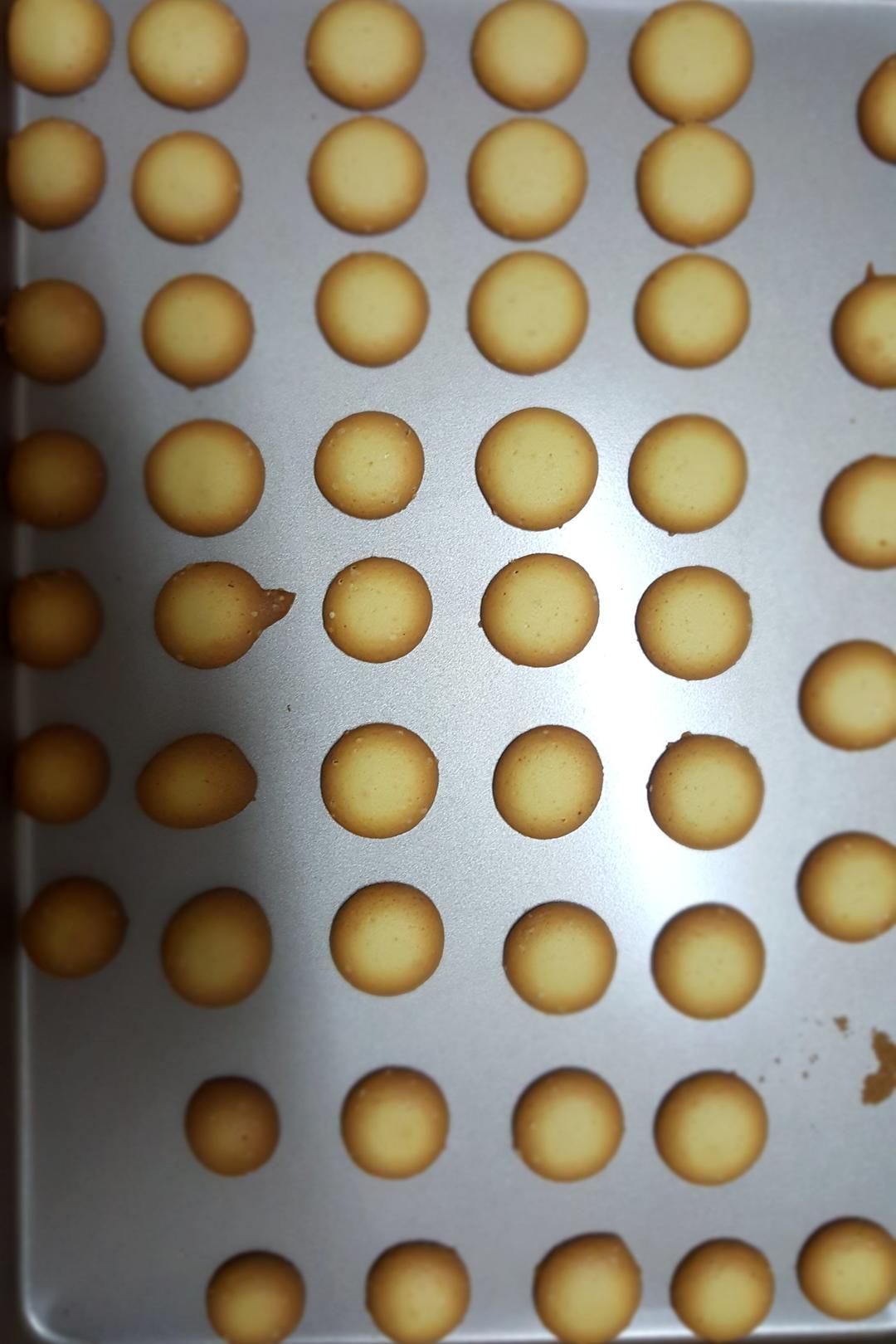 蛋黄饼干
