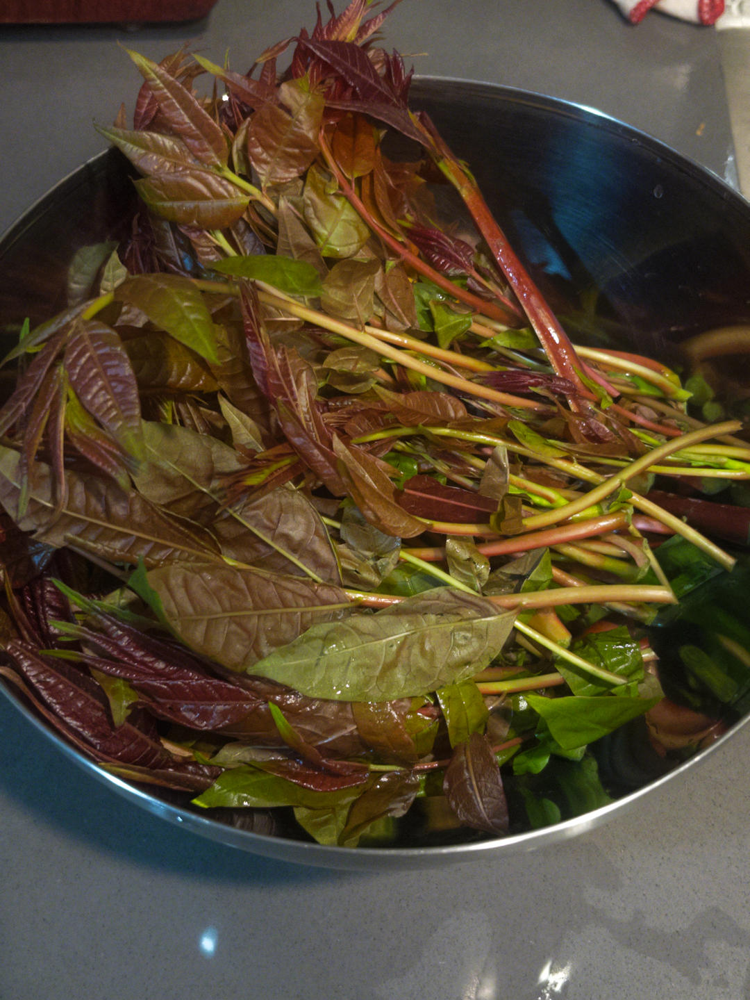 香椿拌豆腐