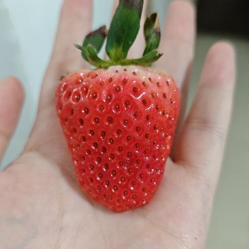 一汪水