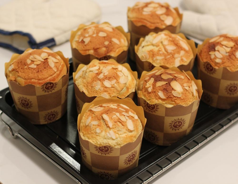 简易版小号潘娜托尼